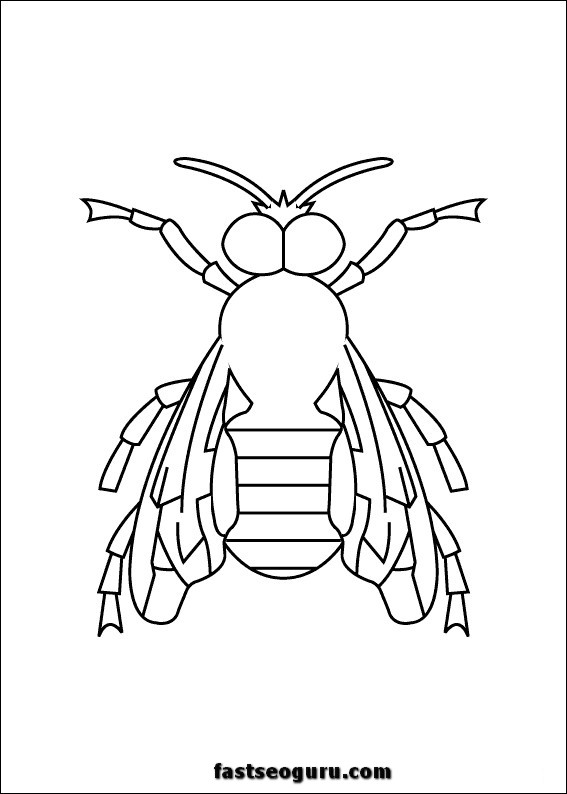 Bee insect coloring pages printable